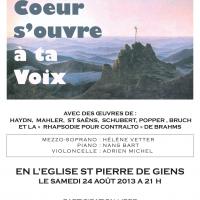 Concert Presqu'île de Giens / Août 2013