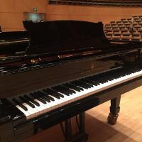 Piano Steinway / Nans Bart, pianiste